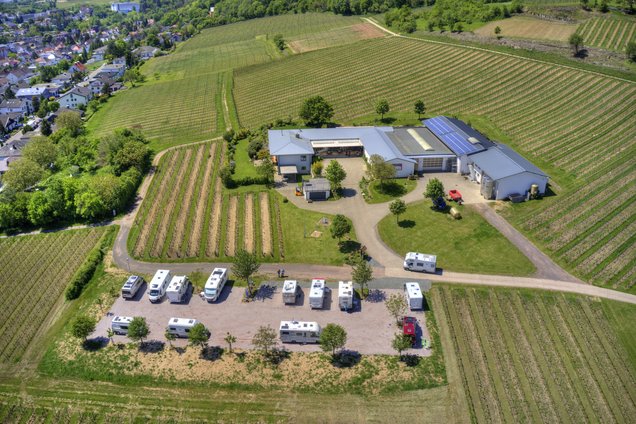 Wohnmobilstellplatz am Liebfrauenberg inmitten von Weinbergen mit Blick über Bad Bergzabern